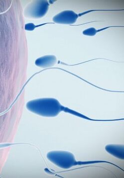 Inefficient sperm chart