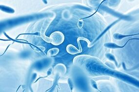 Sperm released by men during sexual arousal