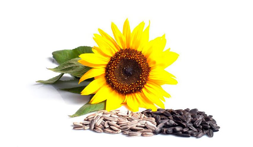 Sunflower seeds may increase efficacy
