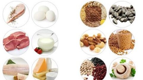 Products rich in animal and plant proteins can enhance male performance