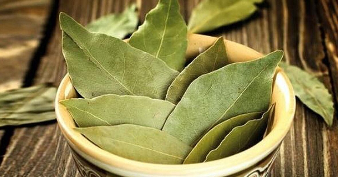 Bay leaf increases effectiveness