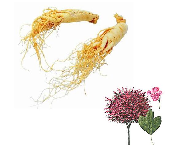 Ginseng and hawthorn enhance effectiveness